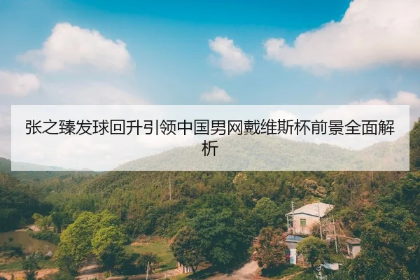 张之臻发球回升引领中国男网戴维斯杯前景全面解析